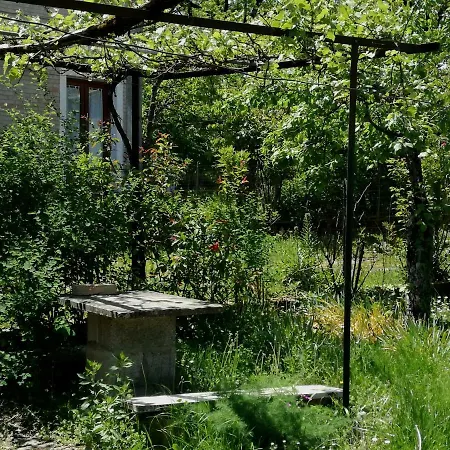 Casa Nel
